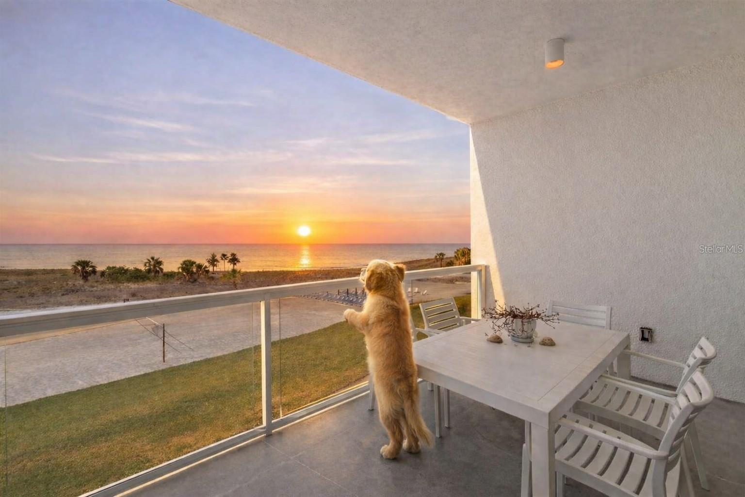 Pets allowed