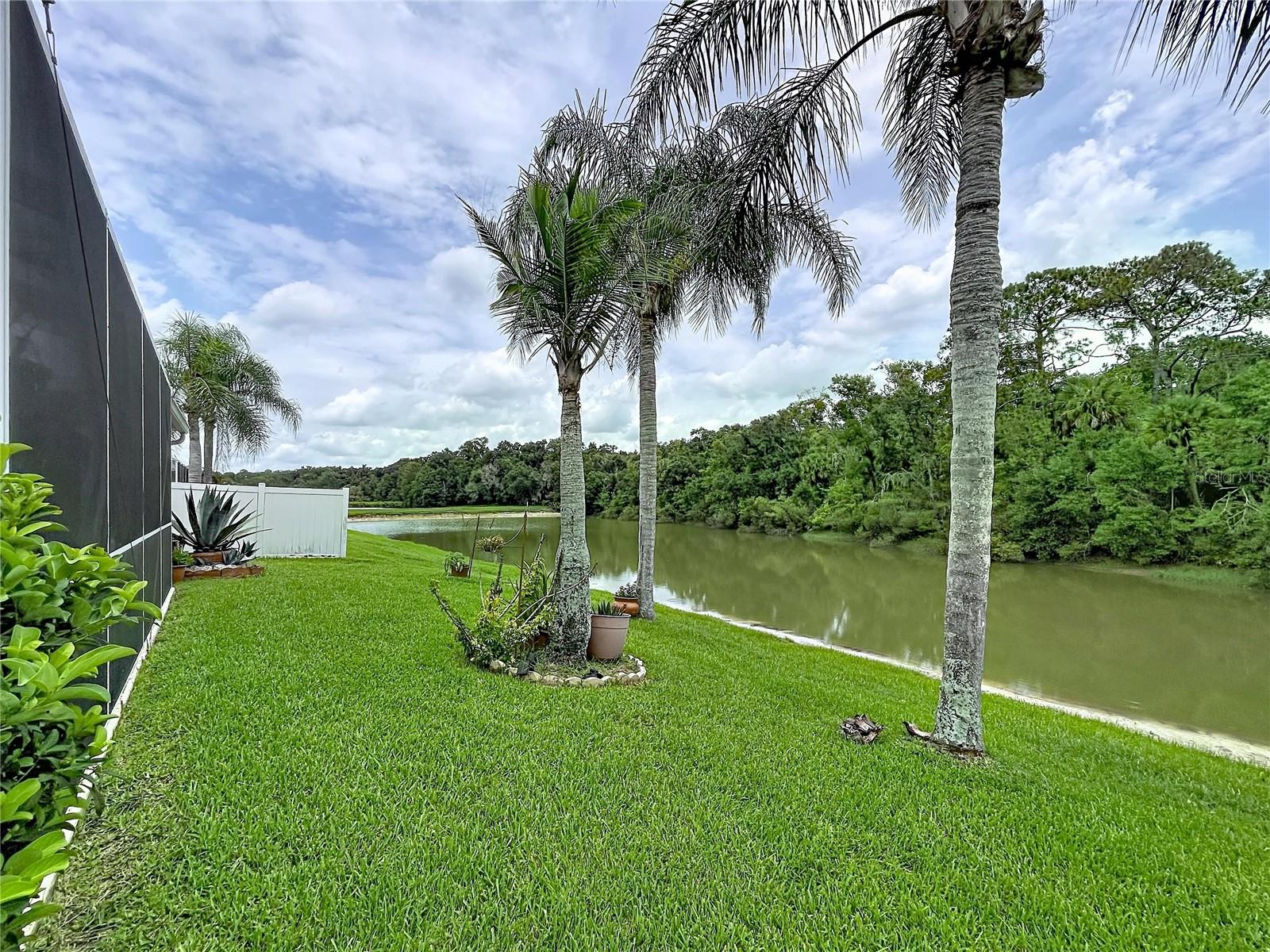 Pond behind House