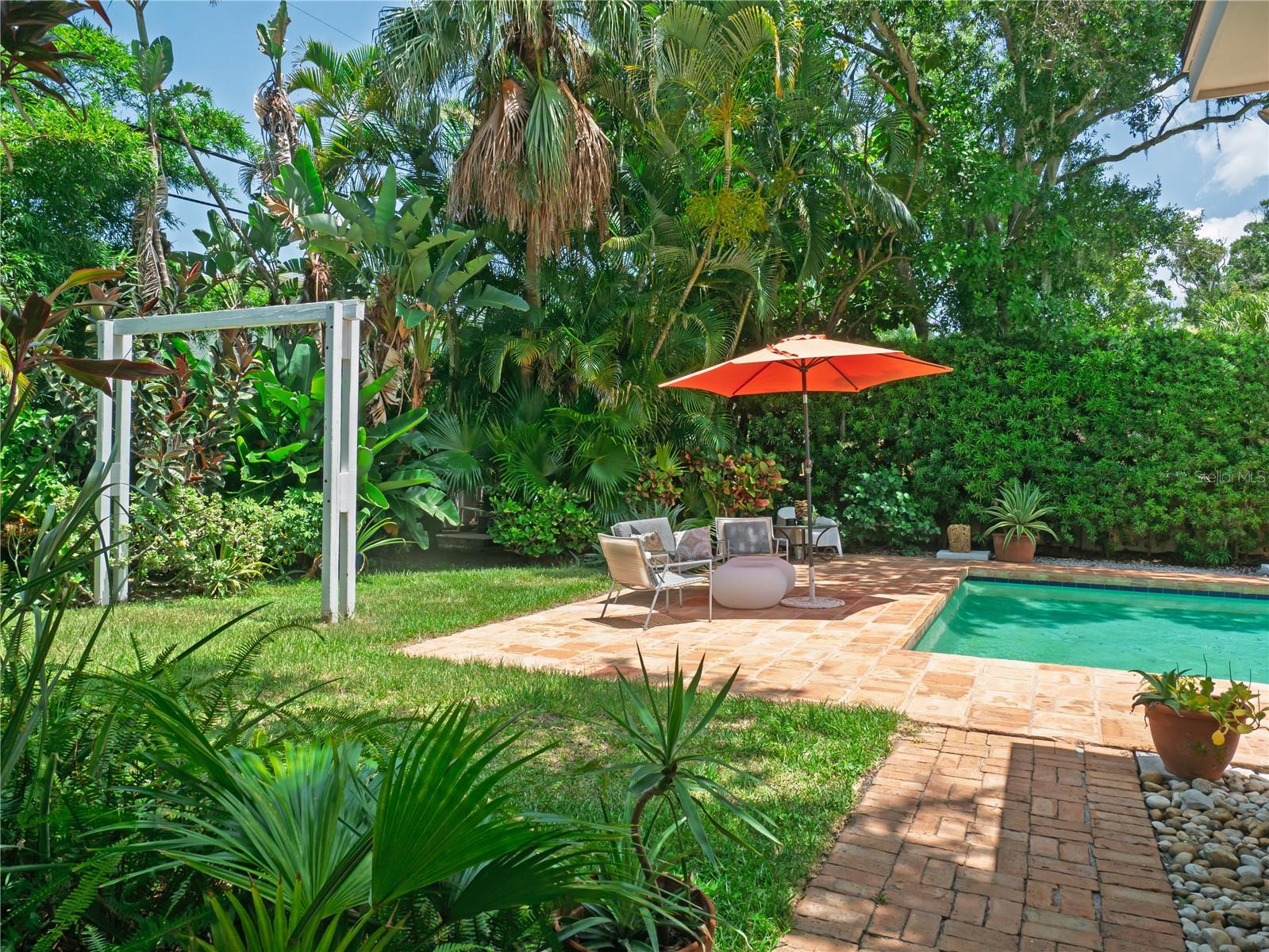 Pool + Backyard