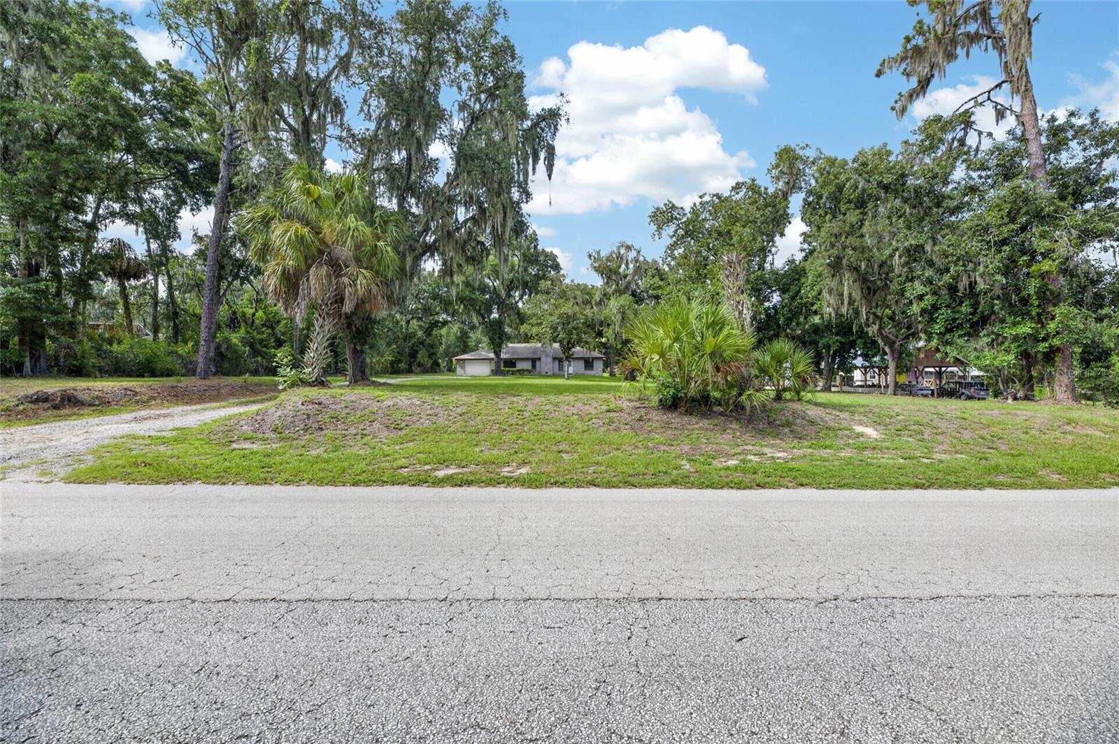 Front Yard