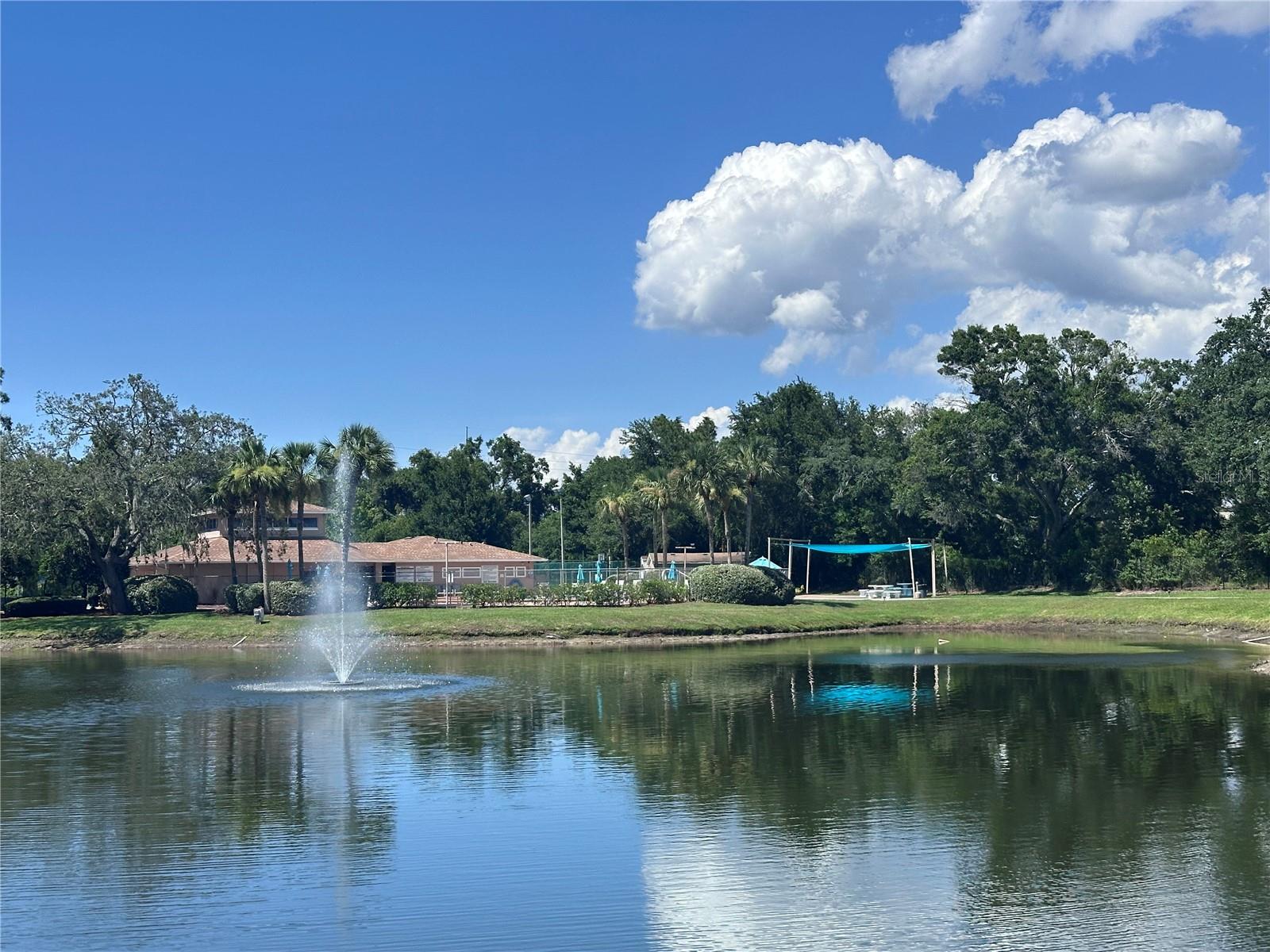 Lake View of Clubhouse and Pool/Picnic Area