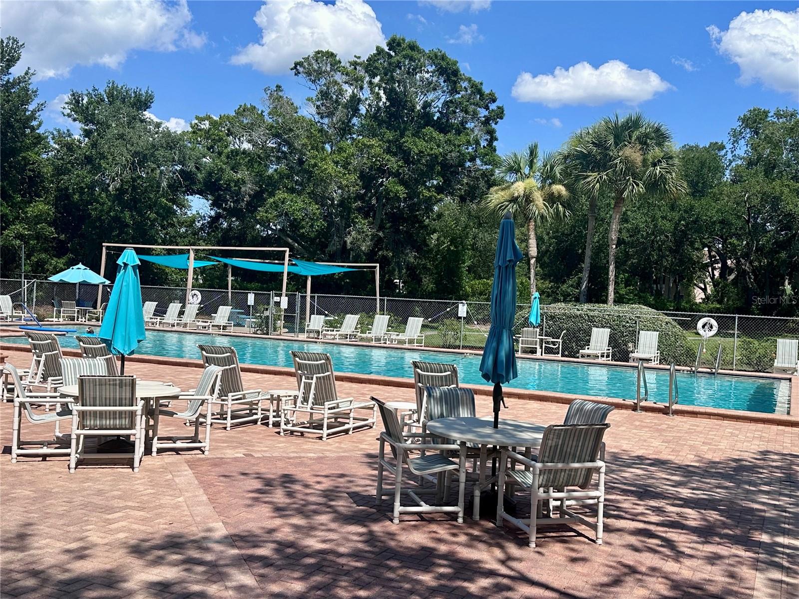 Pool Views