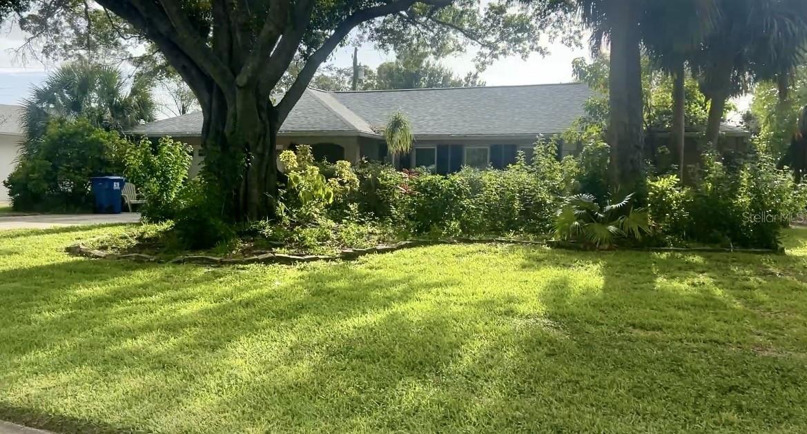 Spacious front yard with mature landscaping