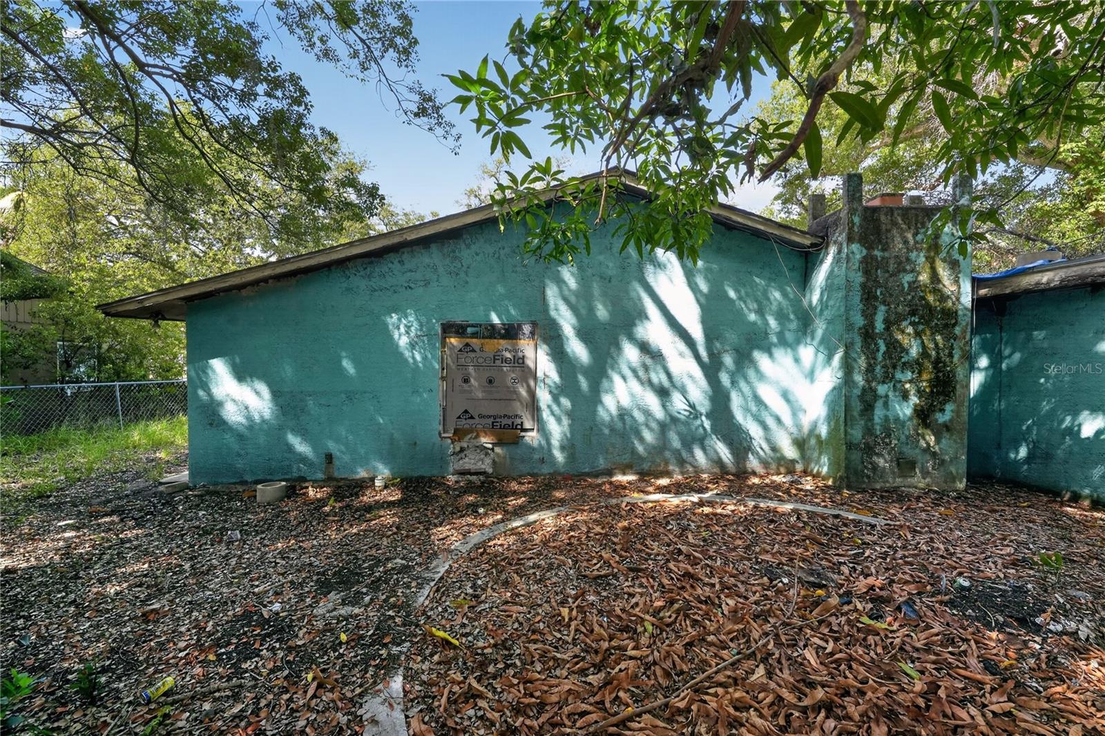 O6424268