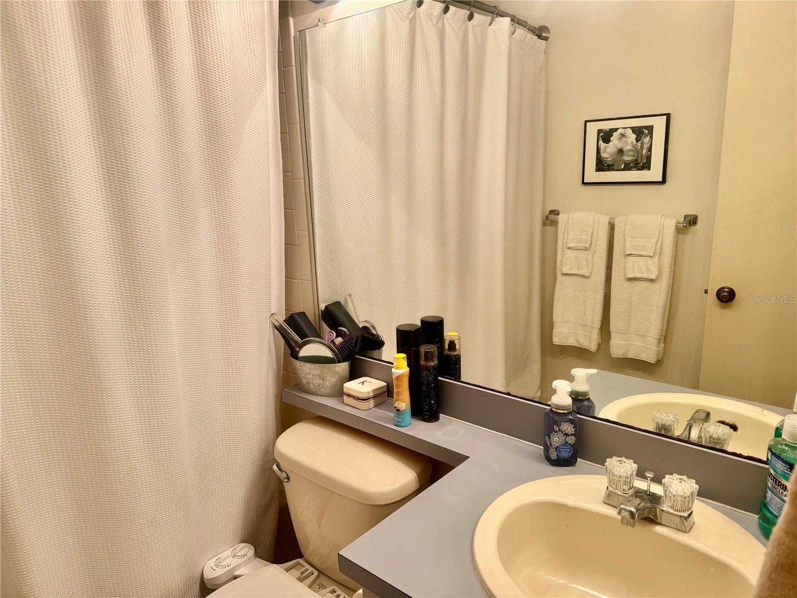 Guest bath Tub/shower