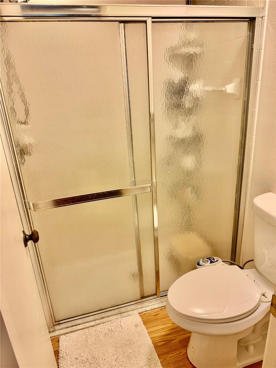 Master Walk in Shower