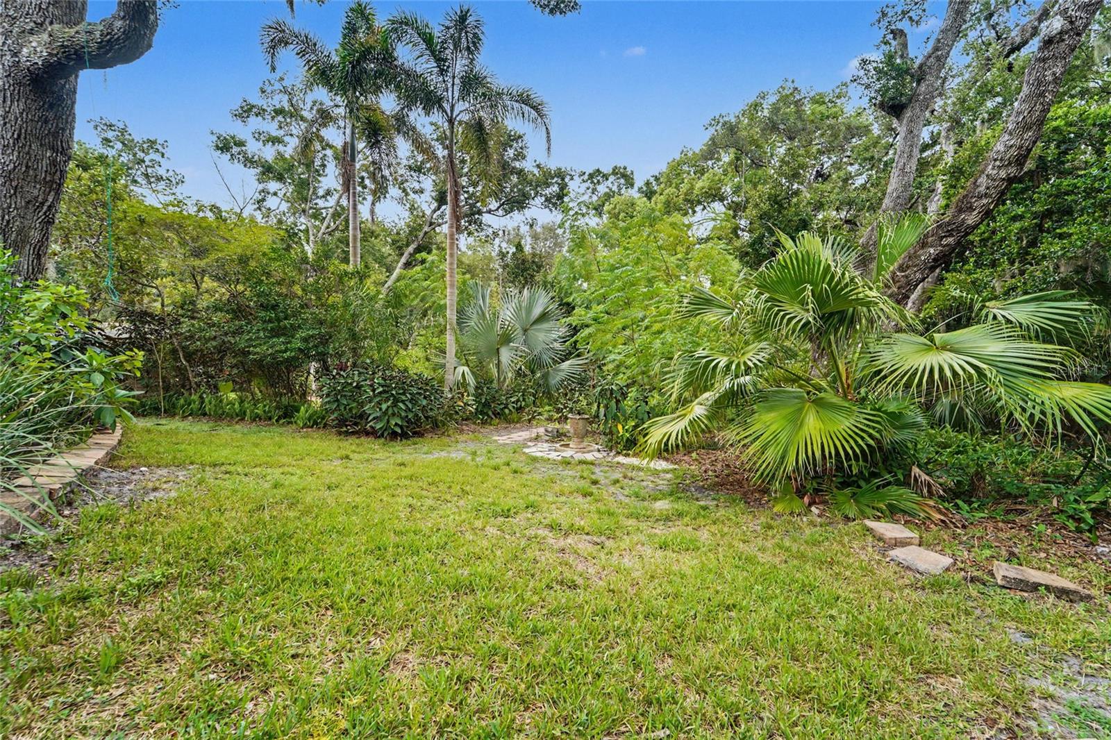 Backyard is a preserve!