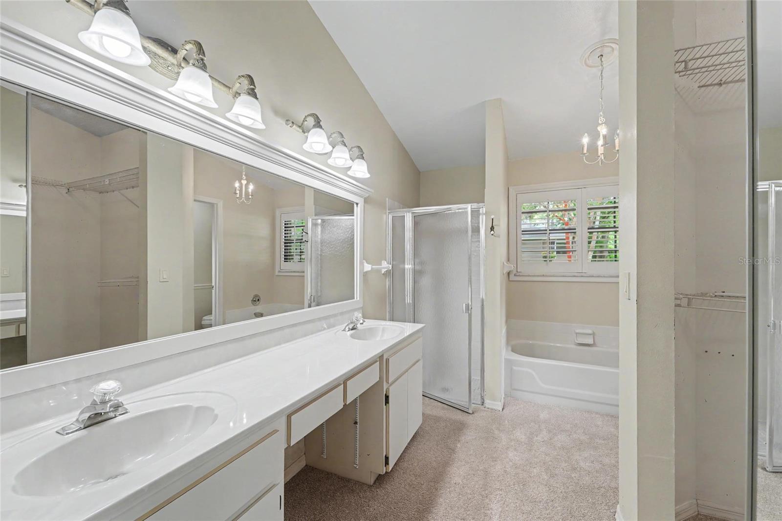 Ensuite with dual vanity, tub, shower, walk in closet and private "water" closet