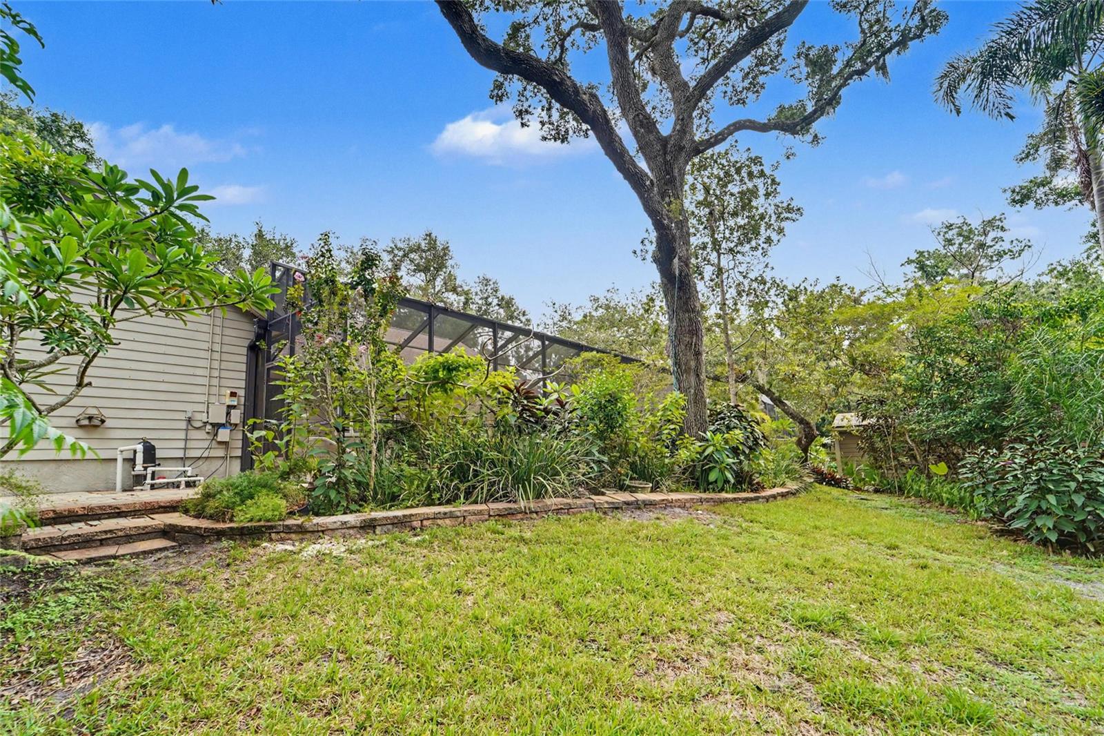 large backyard