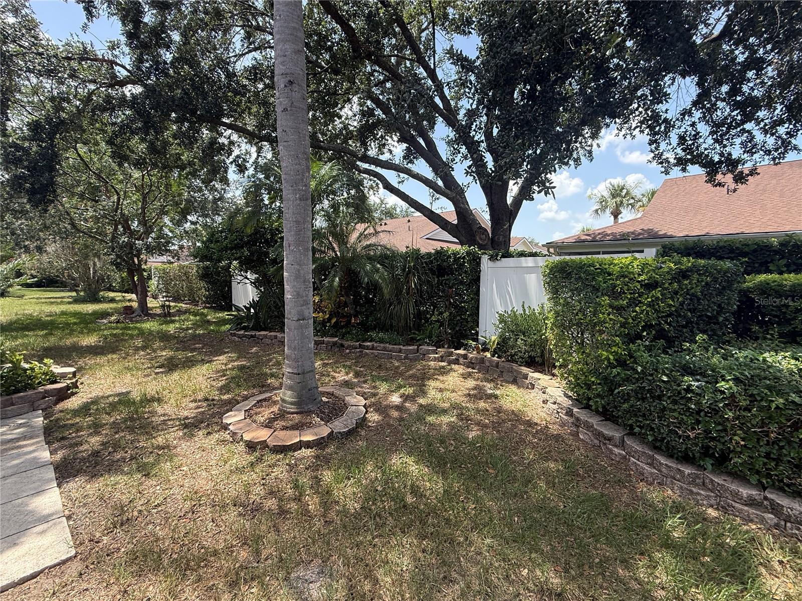 Shaded yard.