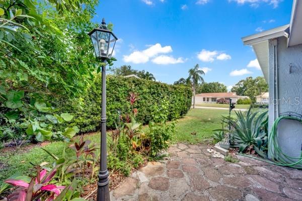 SIDE YARD PARK SETTING