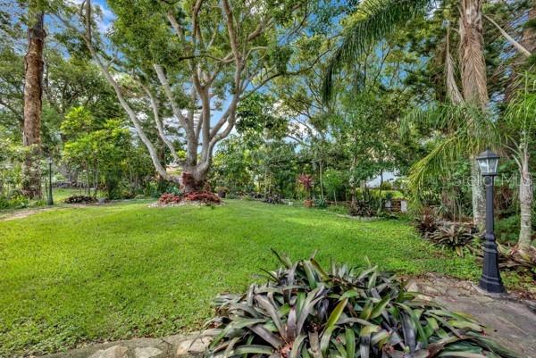 BACKYARD PARK SETTING