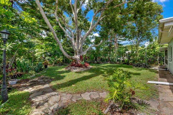 SIDE YARD WITH VIEW