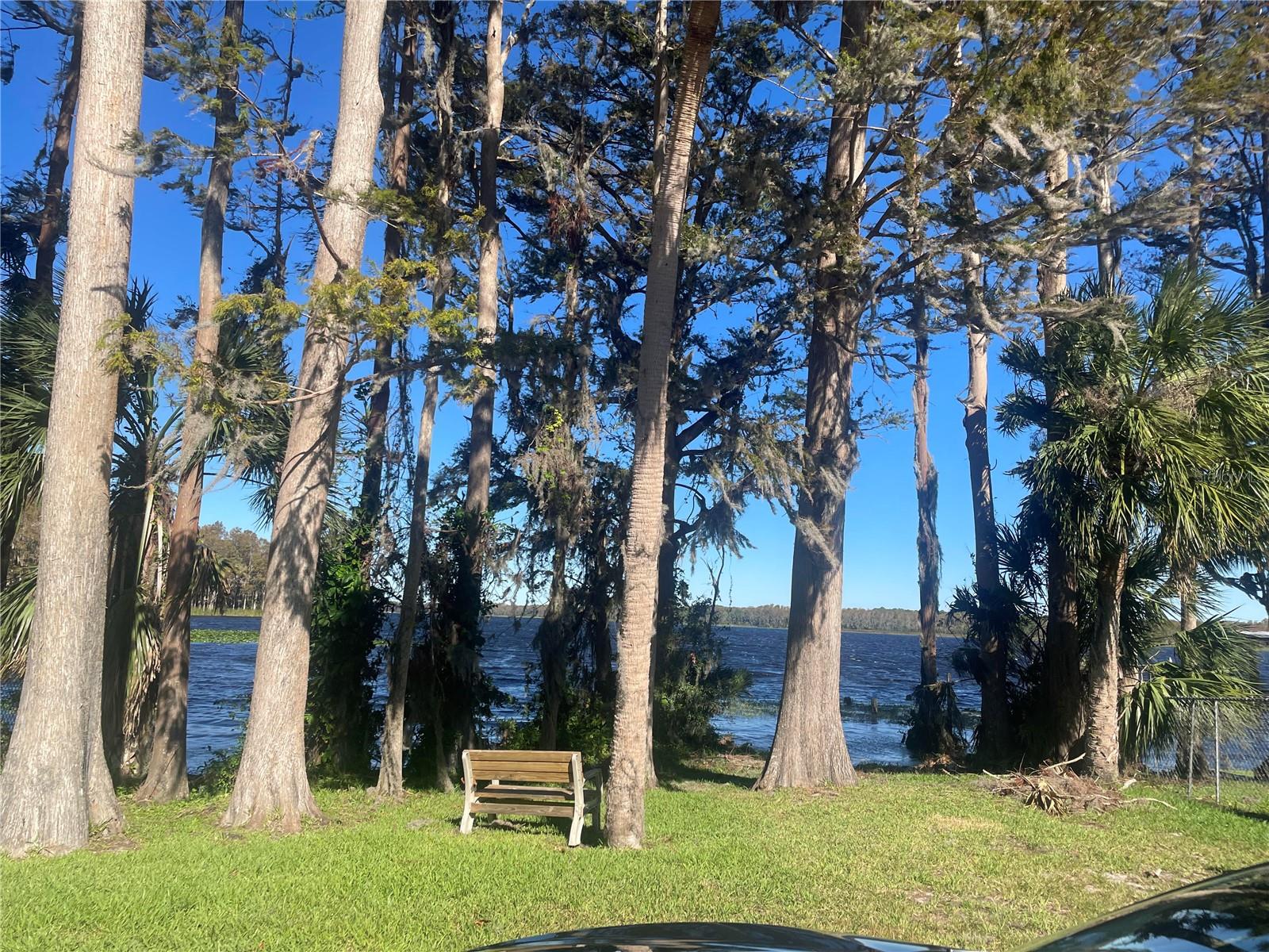 PONTOON RIDES ON LAKE TARPON