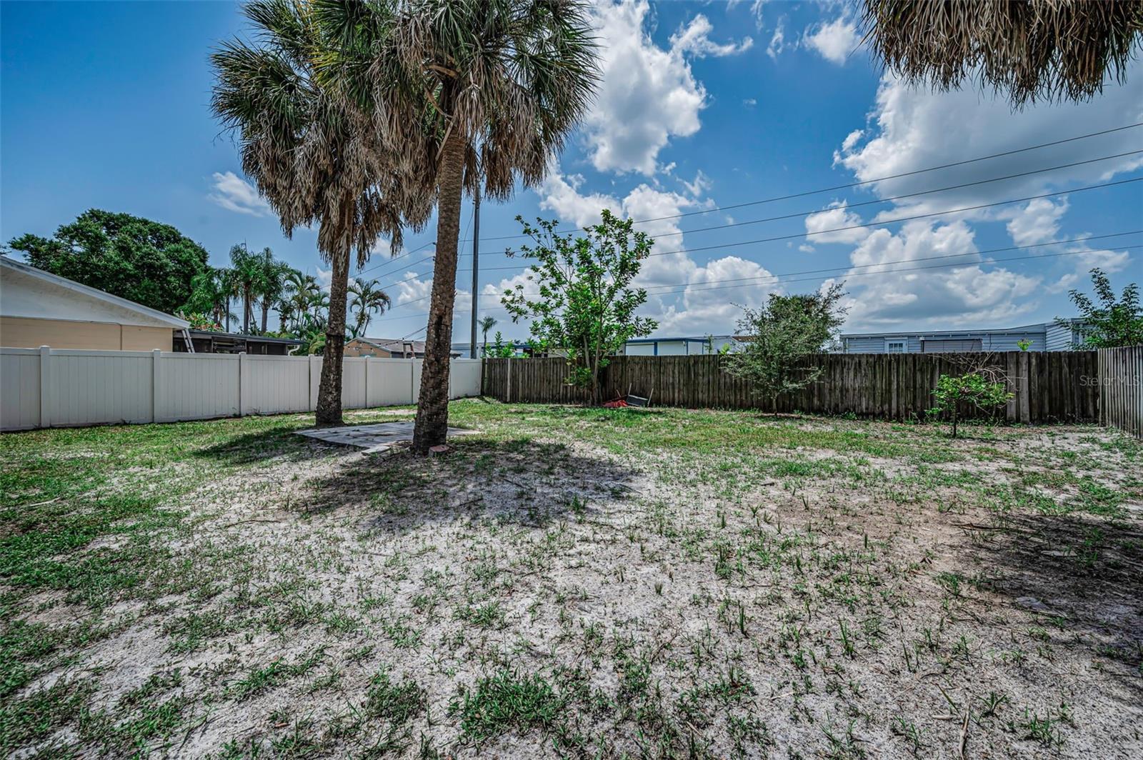 Back Yard