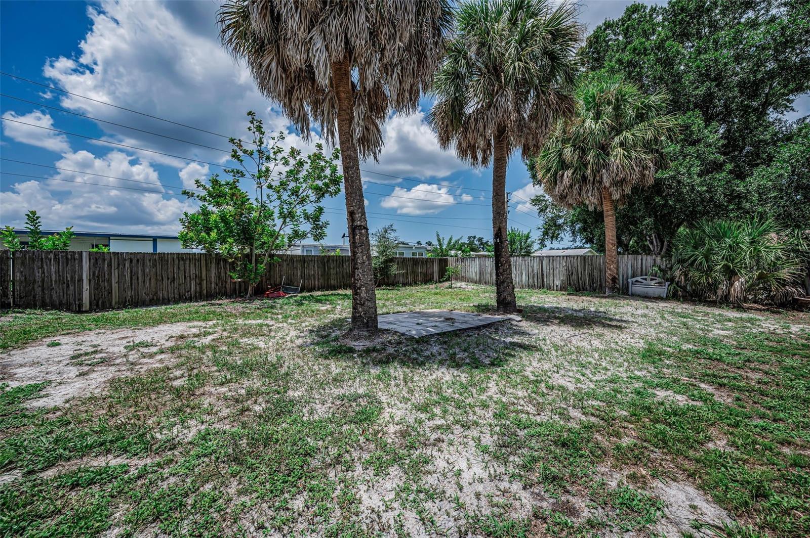 Back Yard