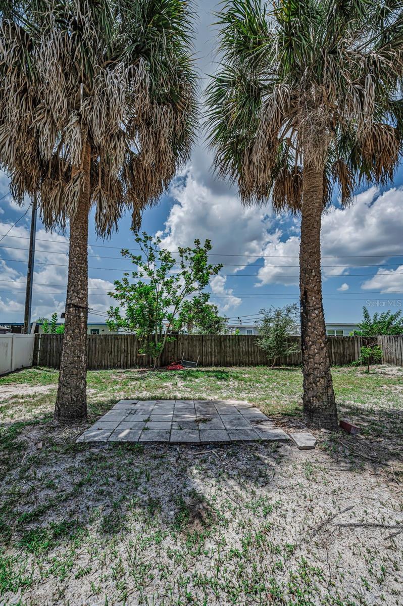 Back Yard