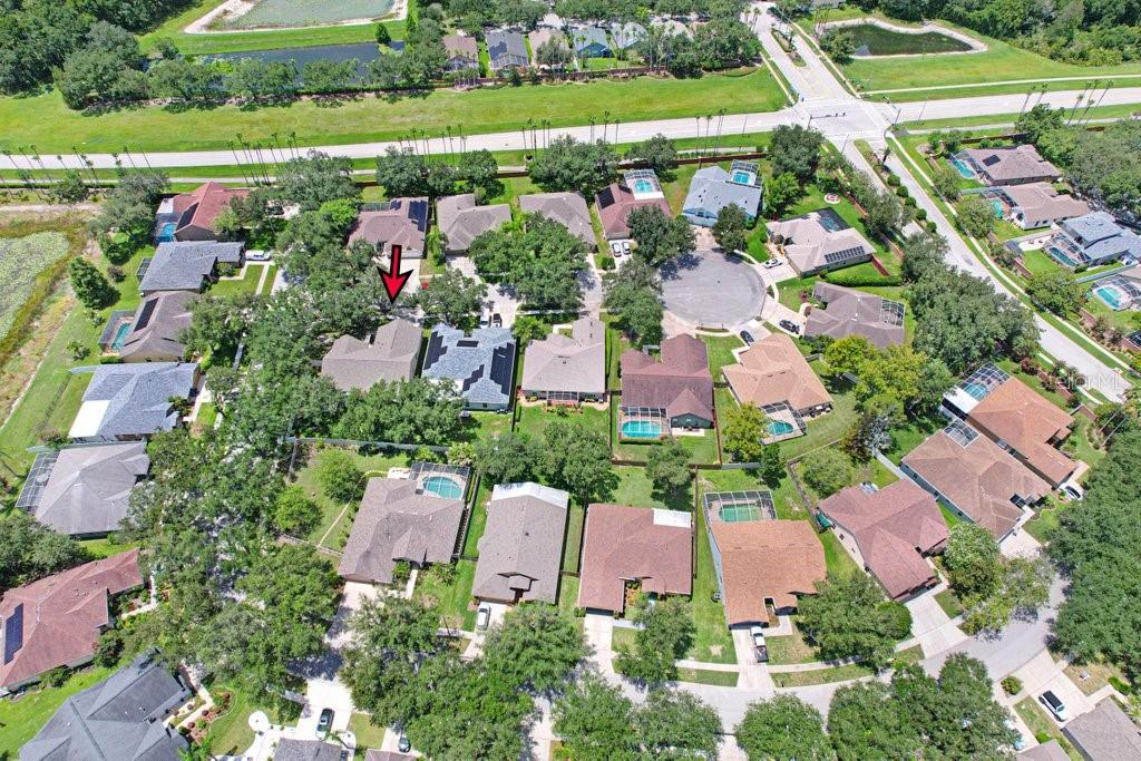 Neighborhood View
