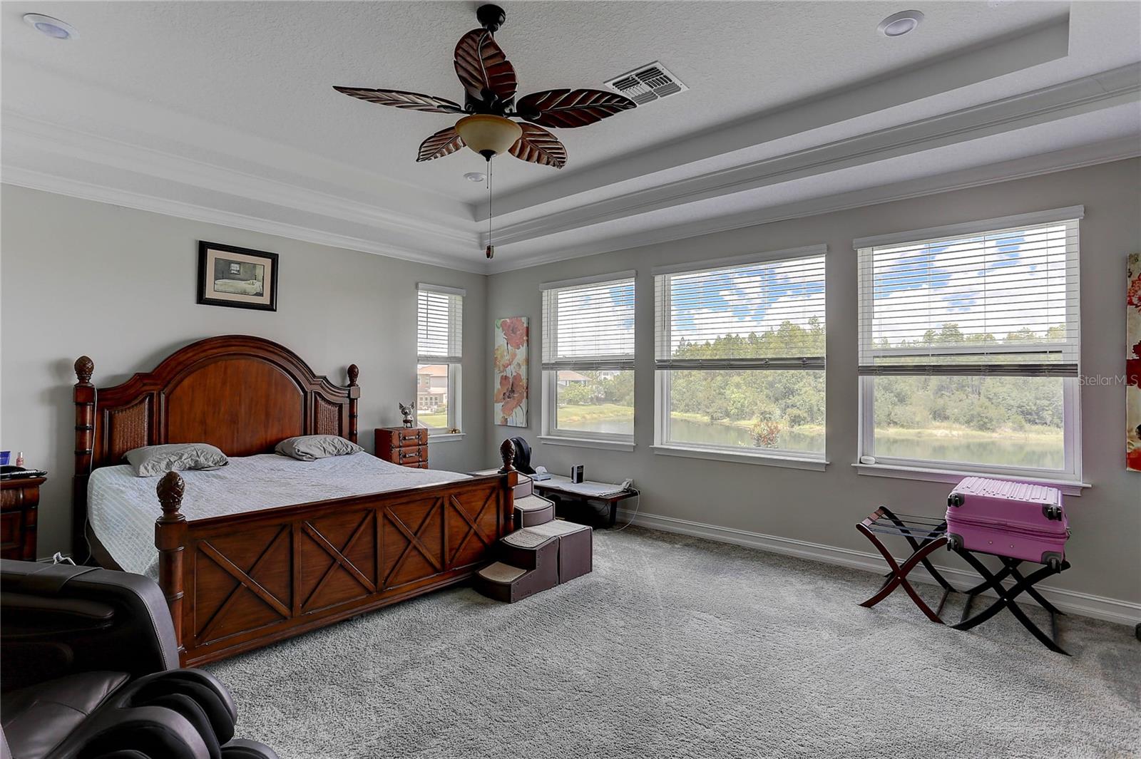 Owner's retreat, tray ceiling