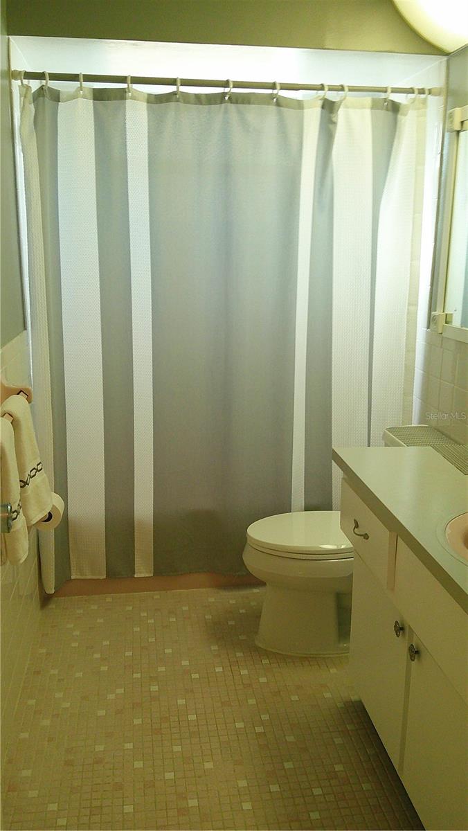 Hall bath
