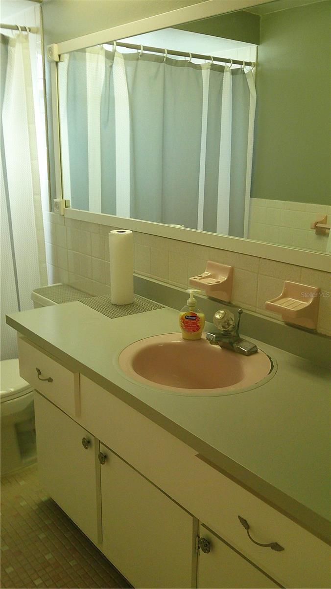 Hall bath single sink Vanity