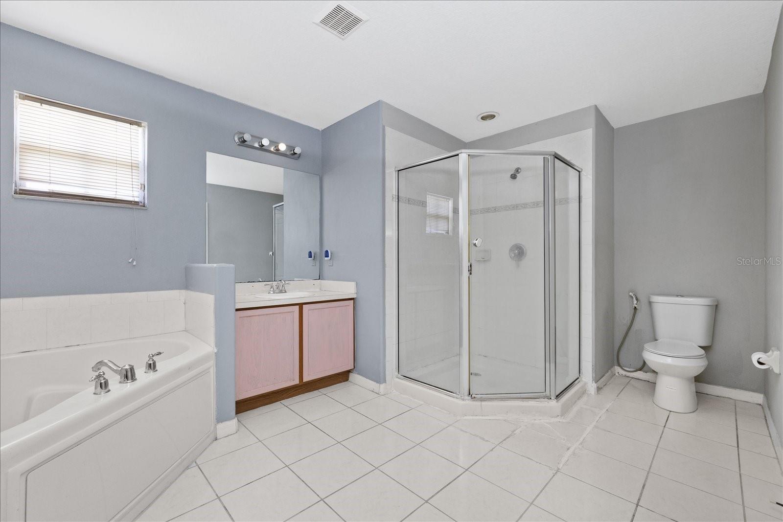 Master bathroom