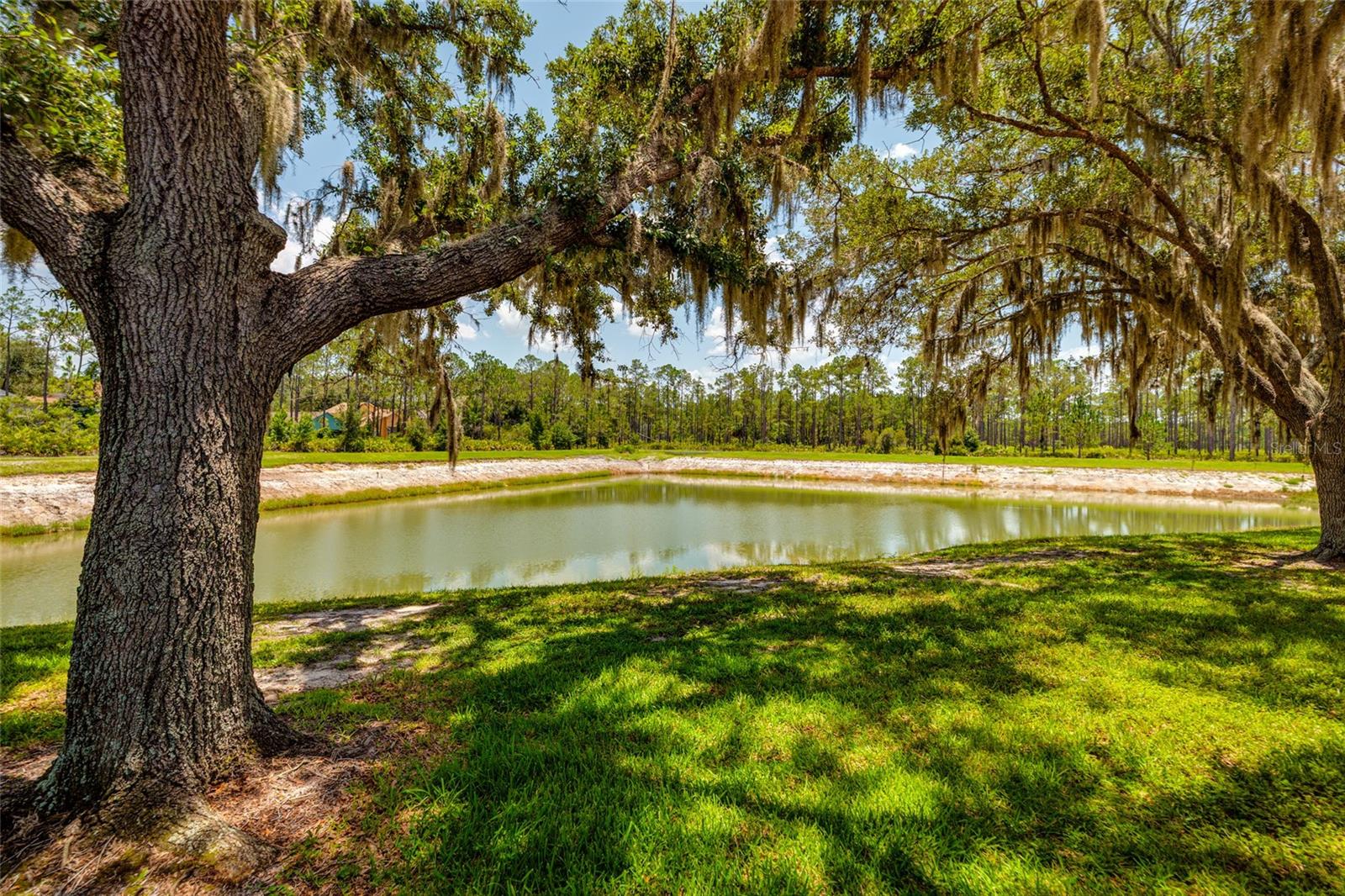 lake and yard view behind unit