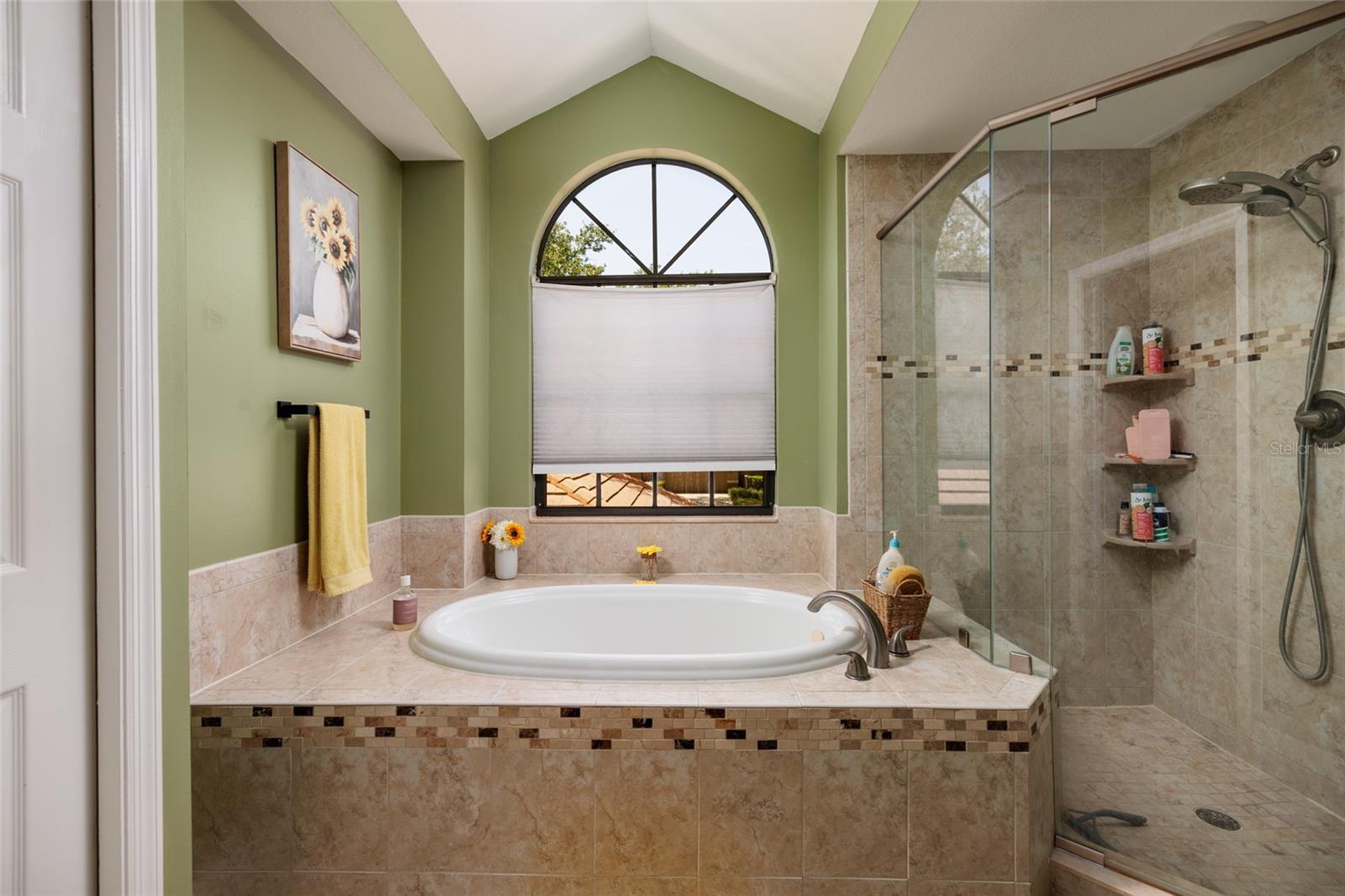 master bathroom - bathtub and walk-in shower