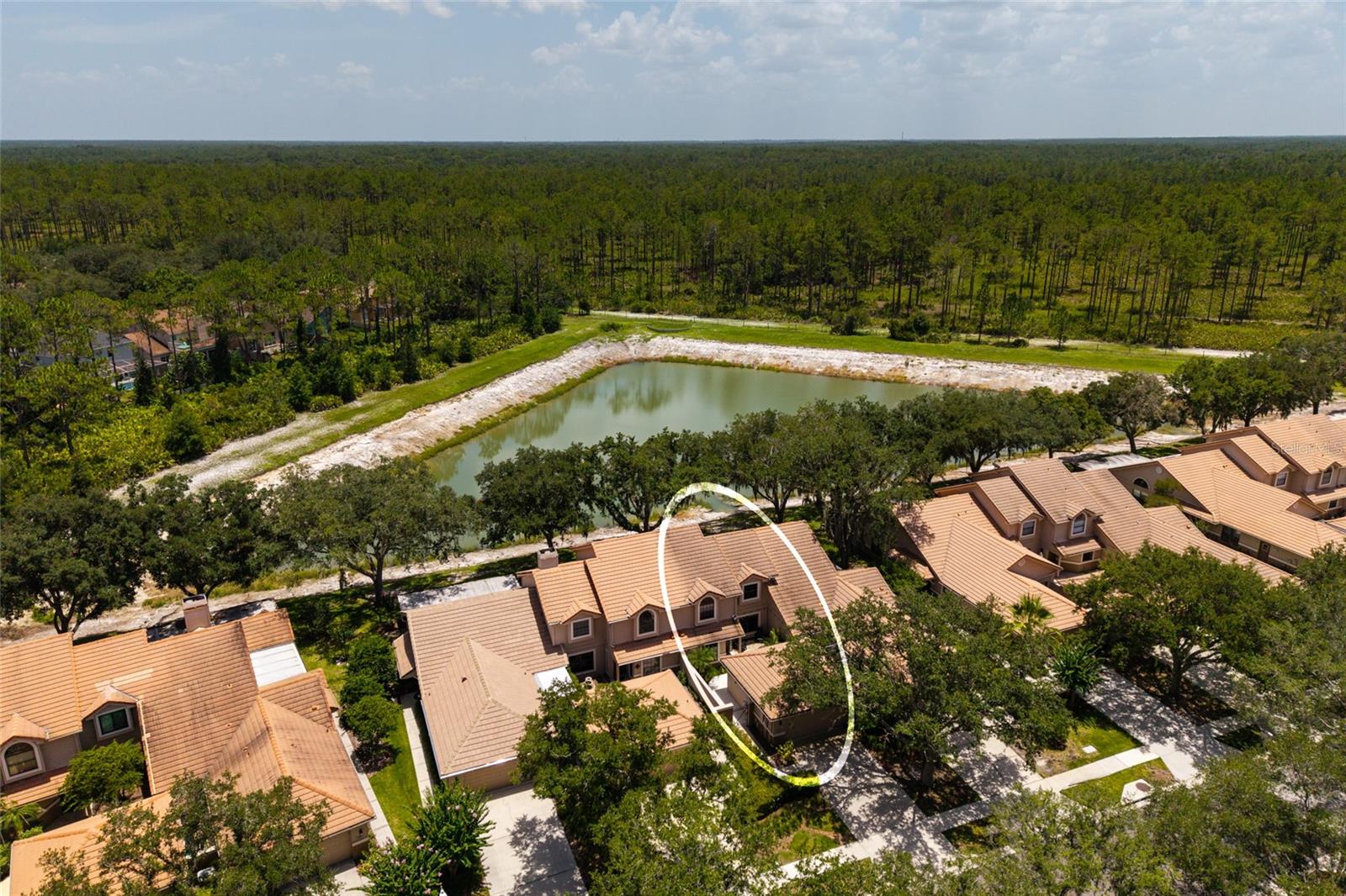 aerial view with lake and location of unit