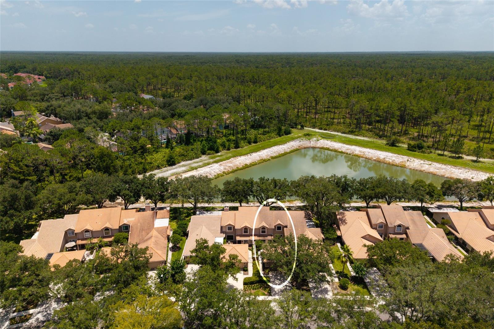 Aerial view lake and neighborhood
