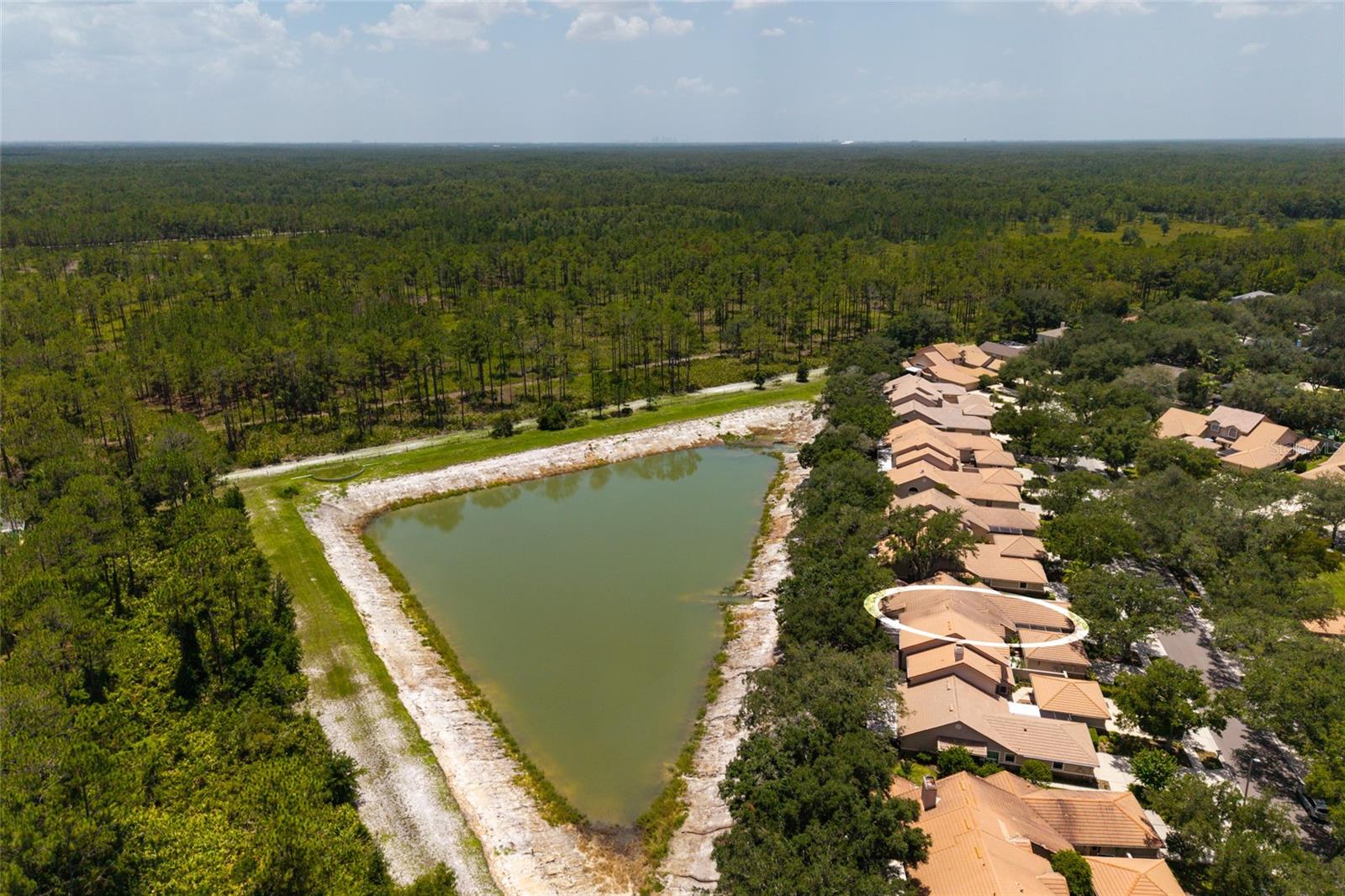 Aerial view lake and neighborhood