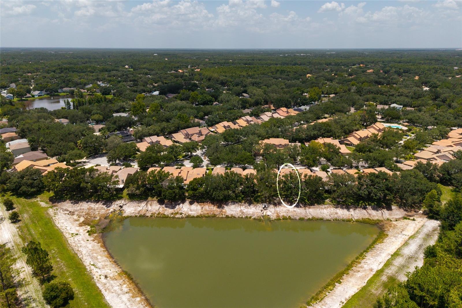 Aerial view lake and neighborhood