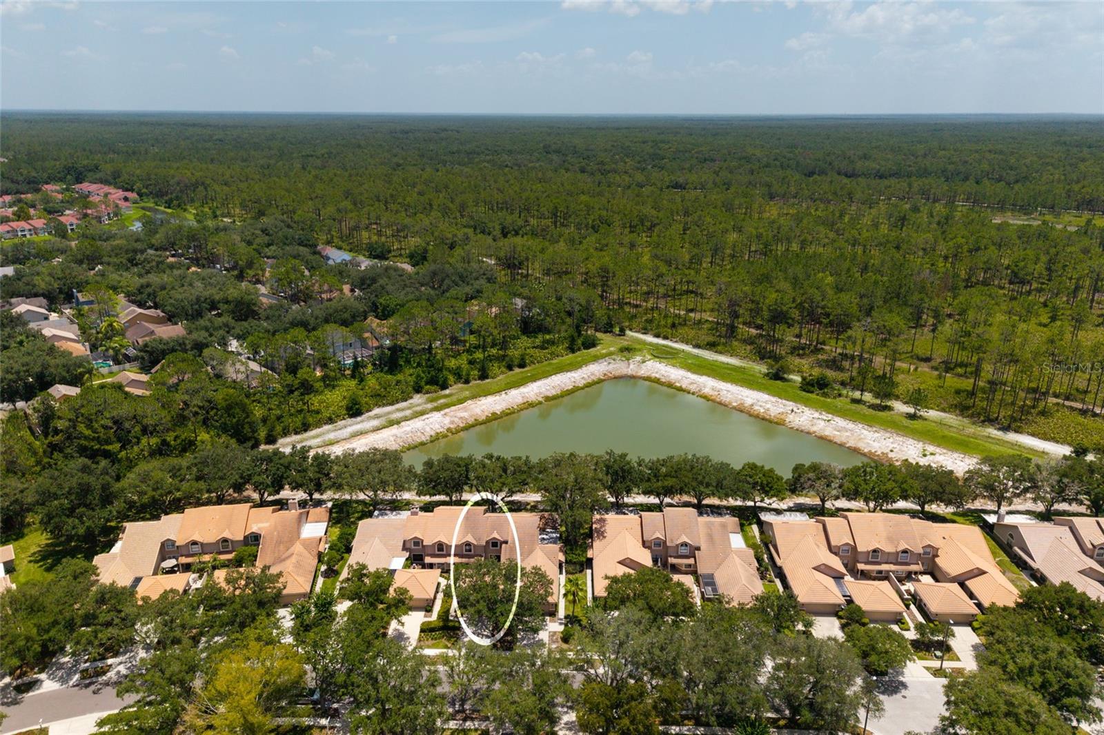 Aerial view lake and neighborhood