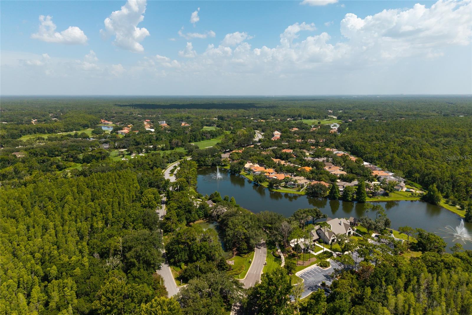 aerial view lake and preserve