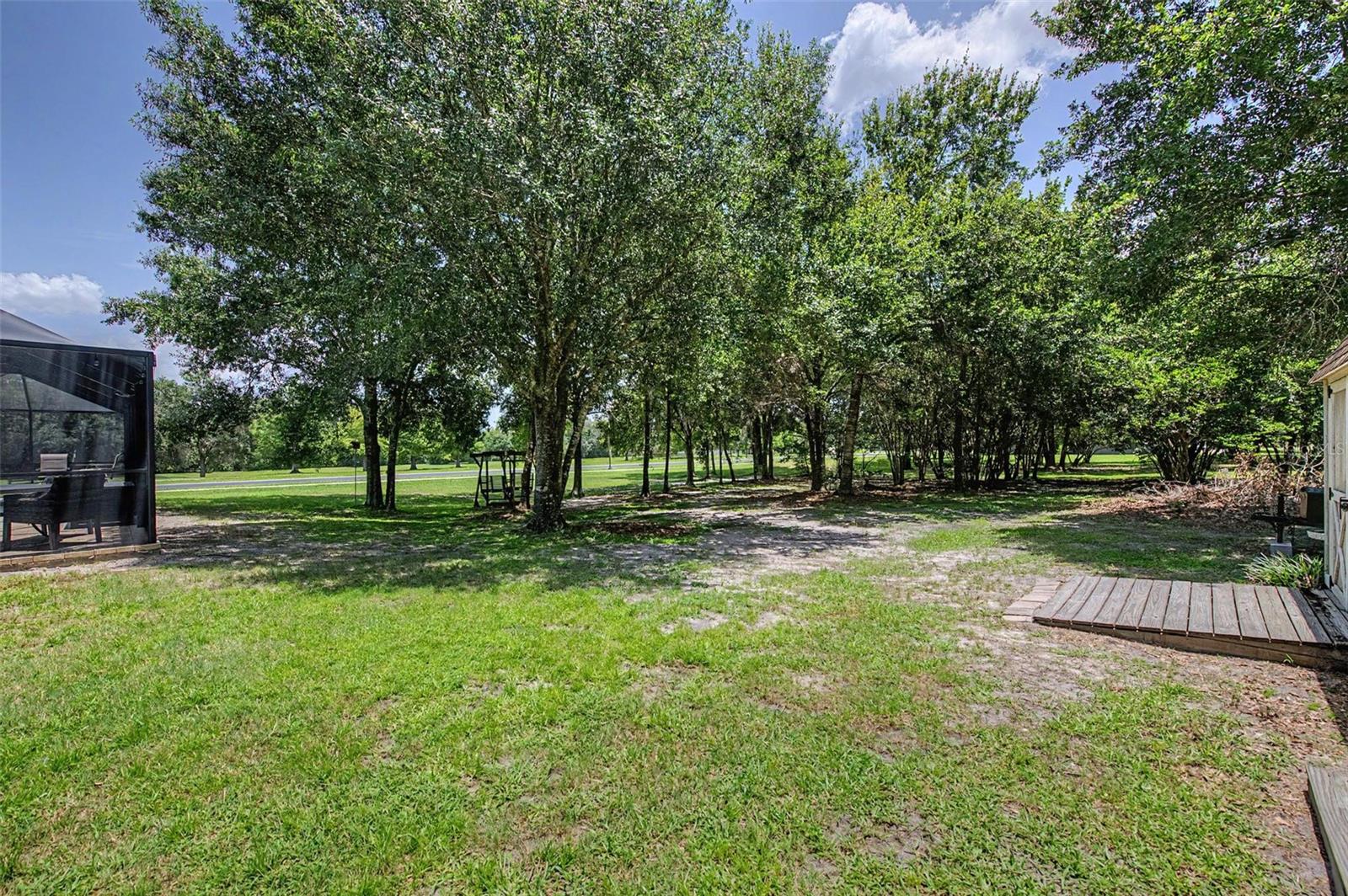 View of the Back Yard