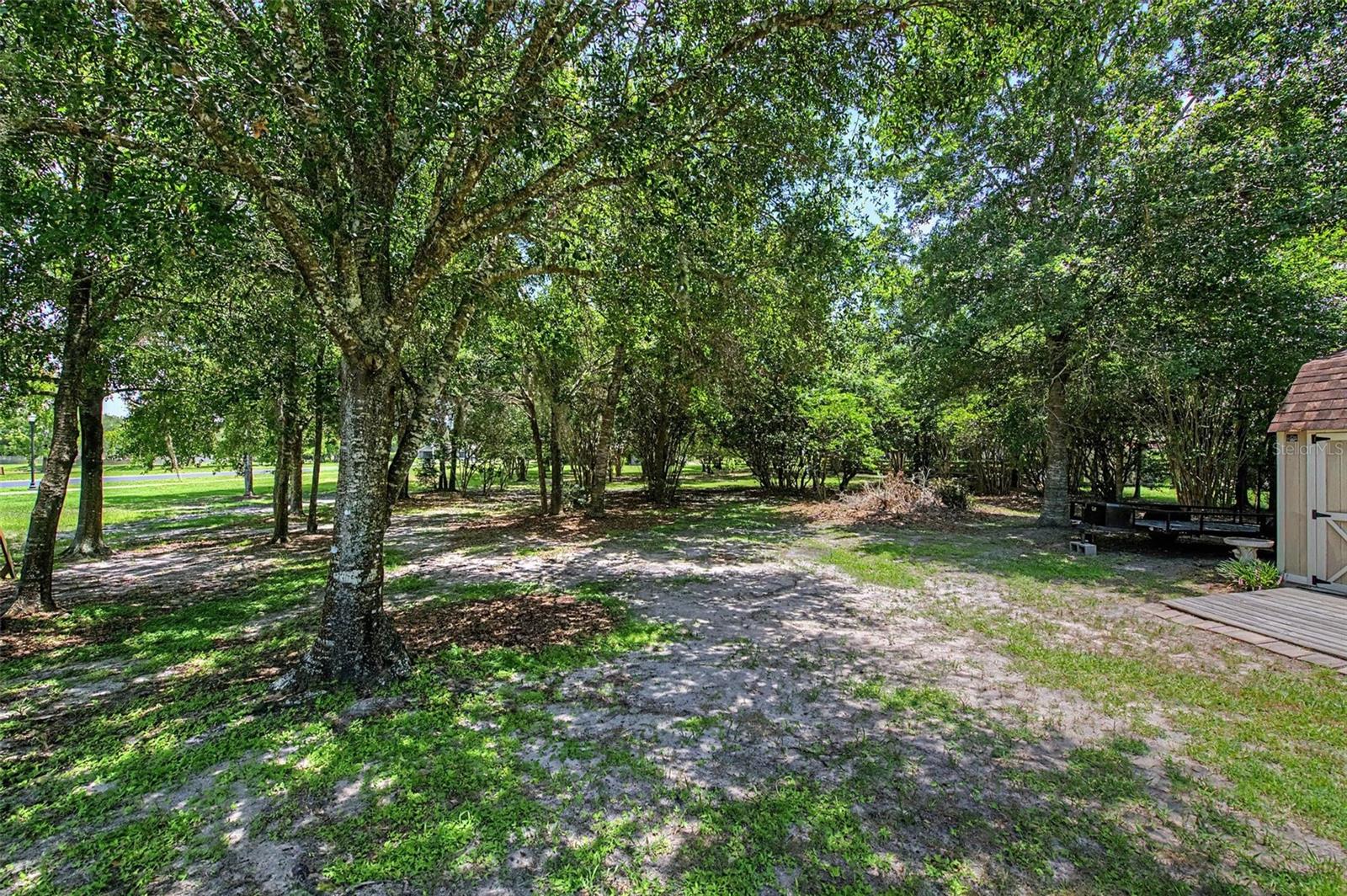 View of the Back Yard