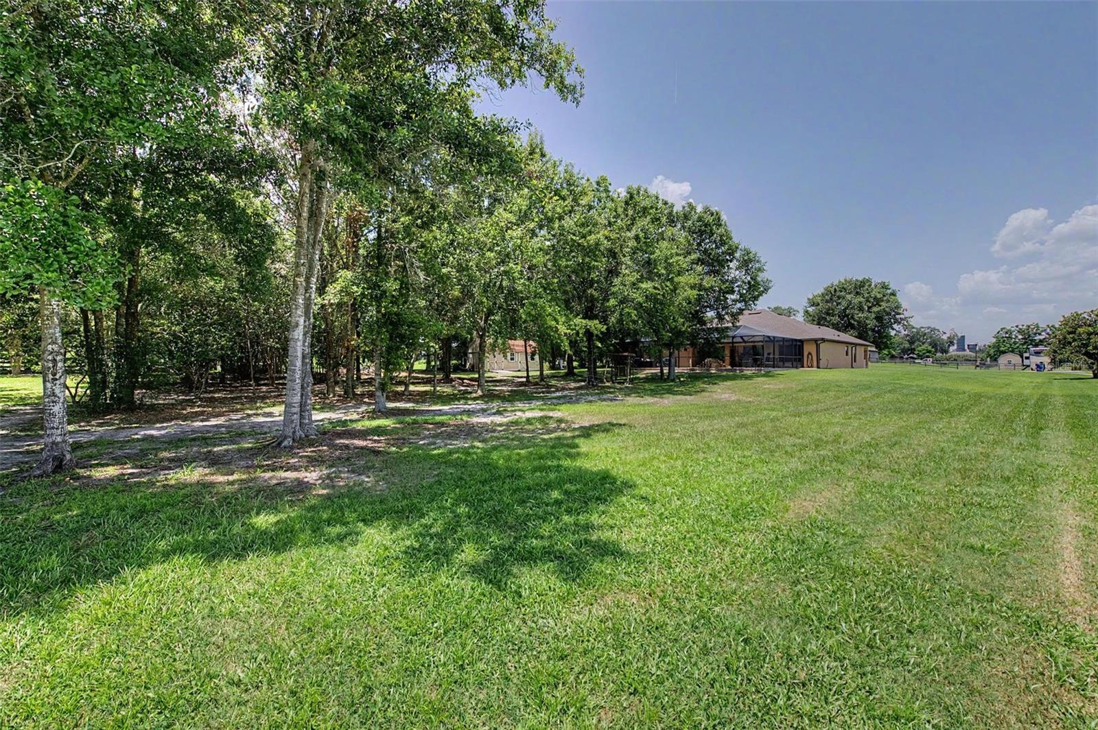 Side Yard
