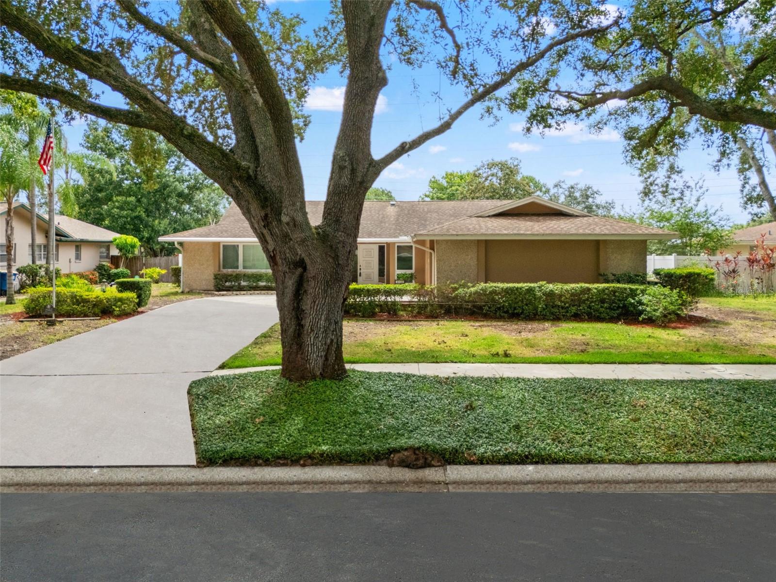 A second angle of the front drive highlights the depth of the lot and the coverage of mature trees, offering a shaded welcome home.