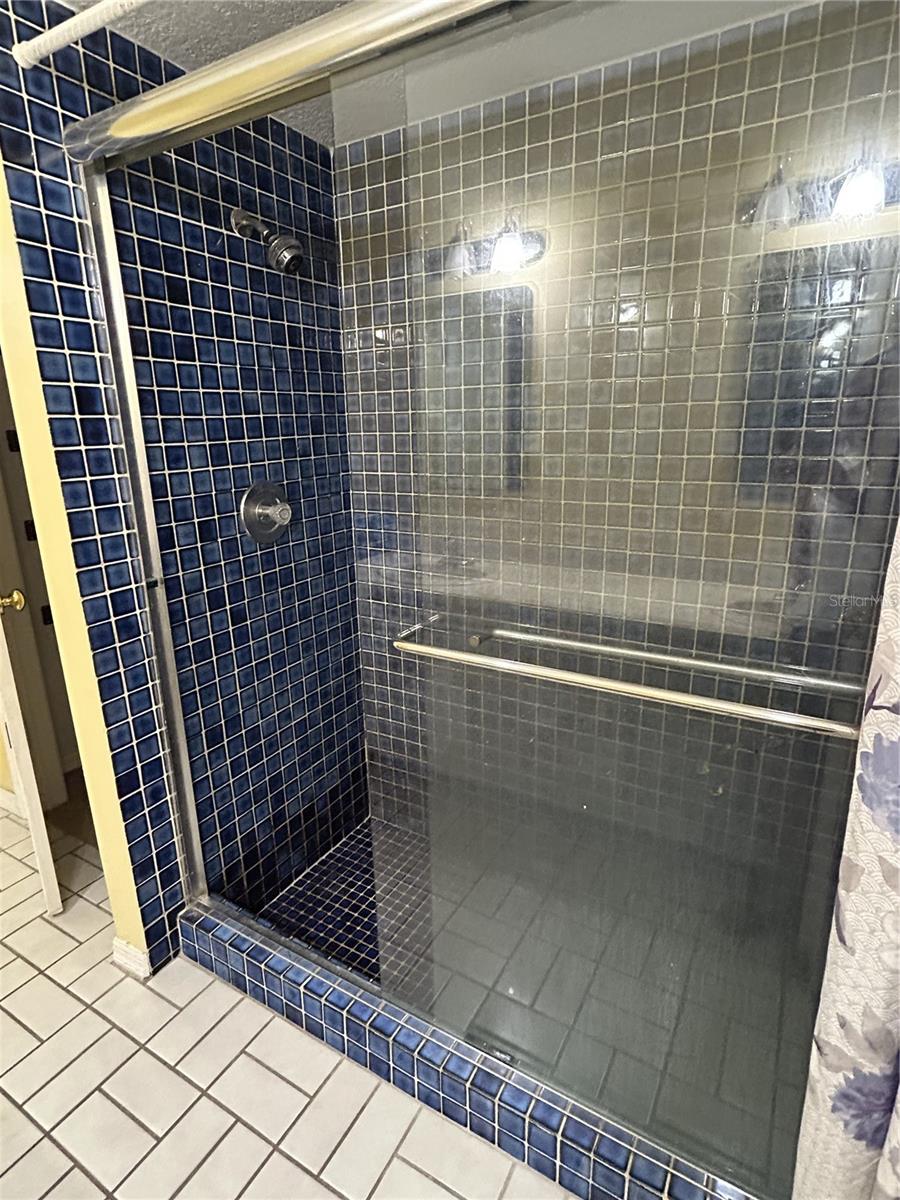 walk in sunken shower in main bathroom