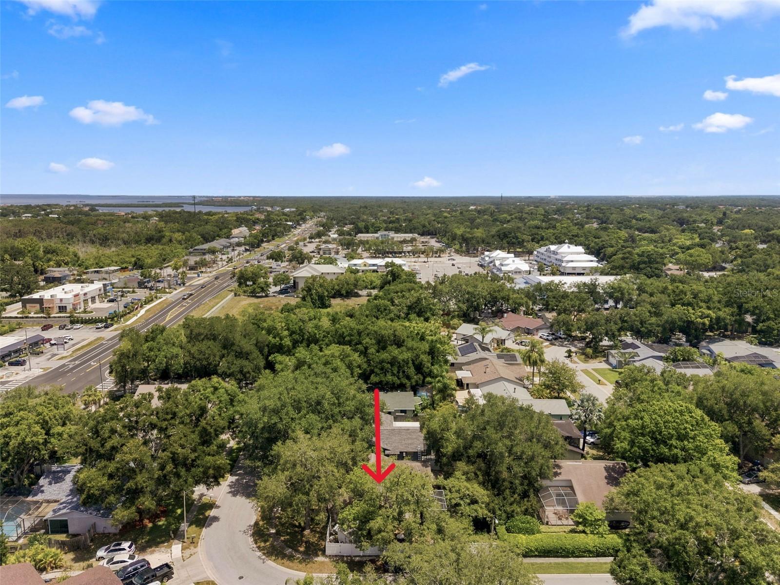 Great Crystal Beach/Palm Harbor location on an oversized corner lot