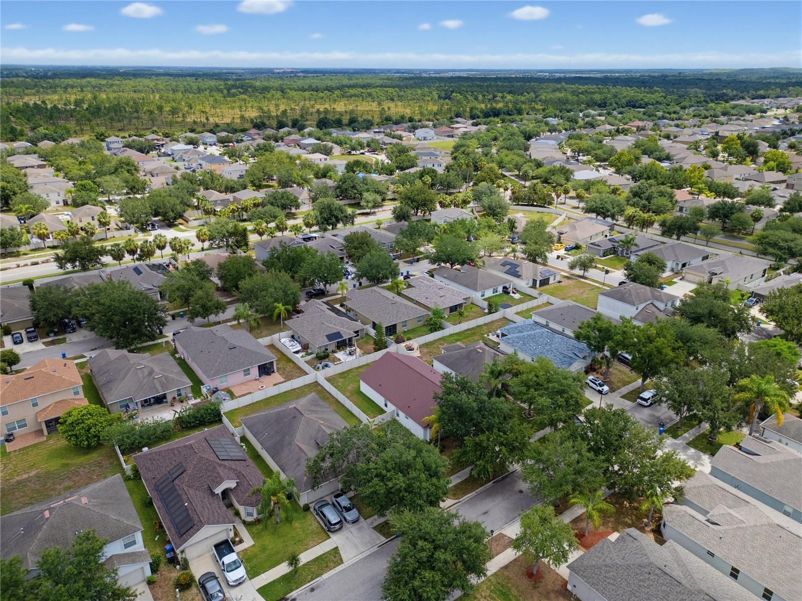 S5153599