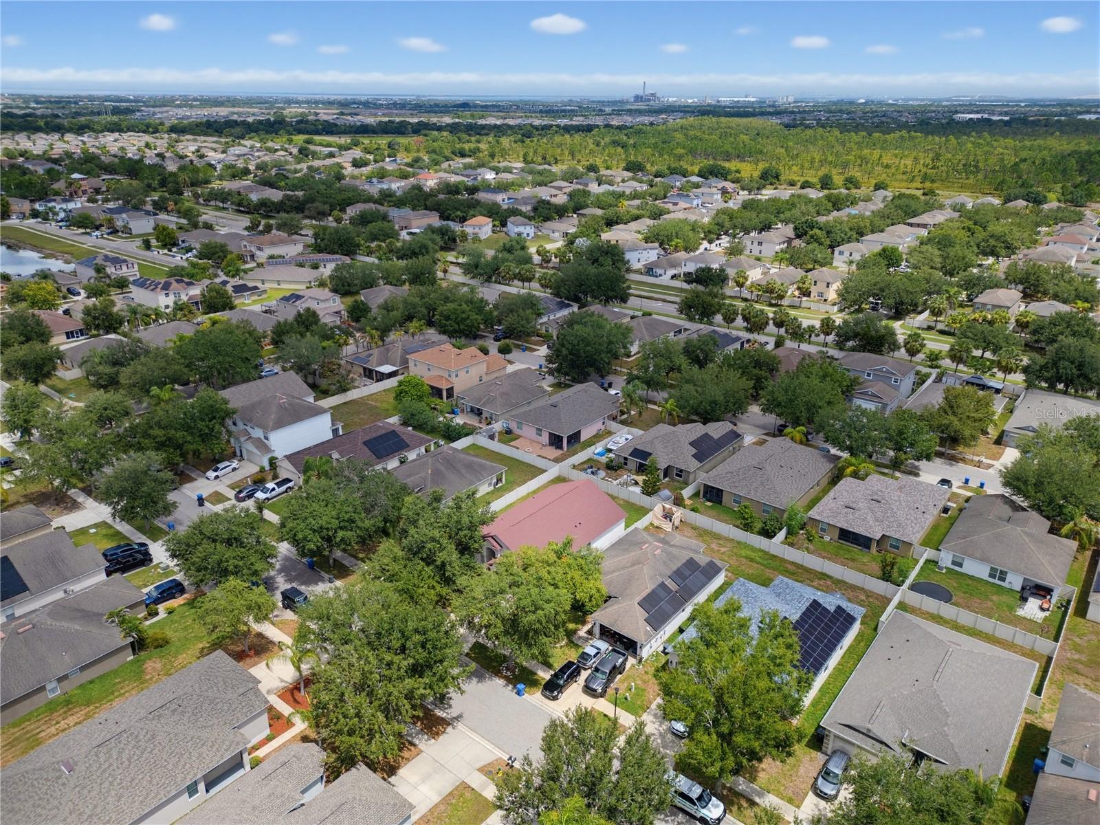 S5153599