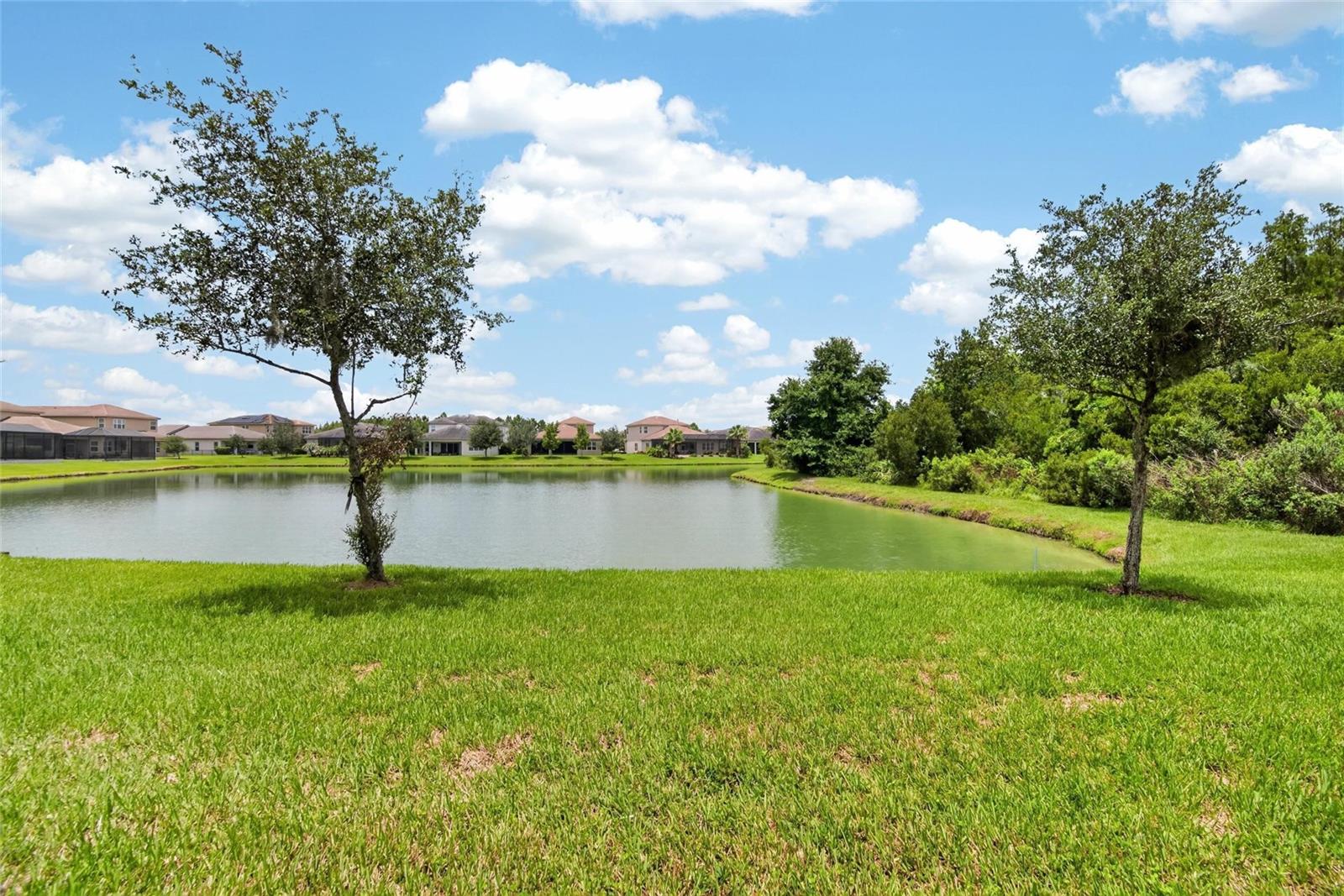 TB8528584
