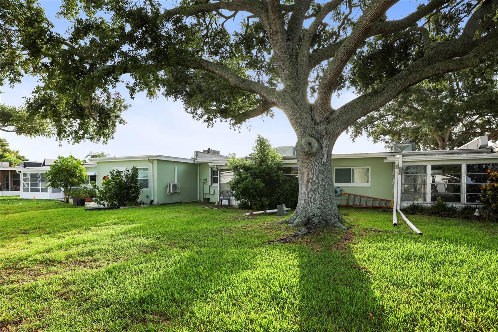 Large backyard ~