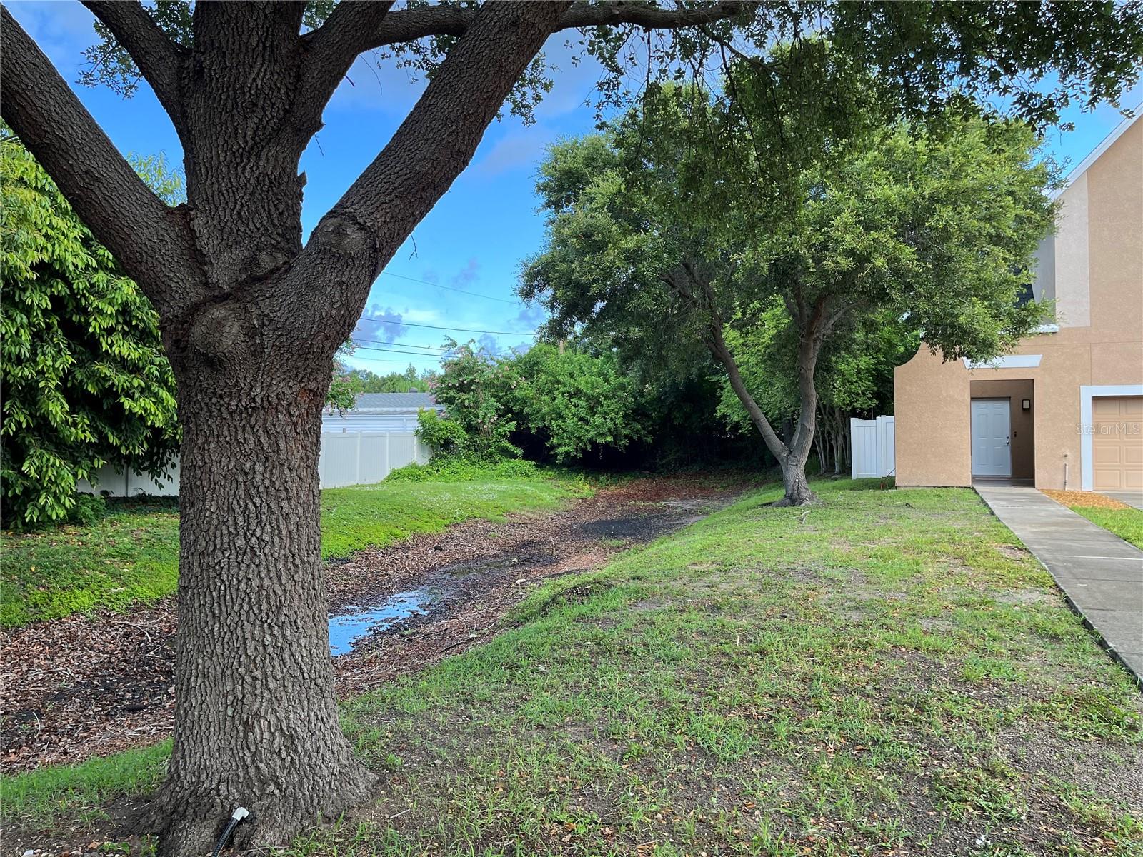 TB8528650