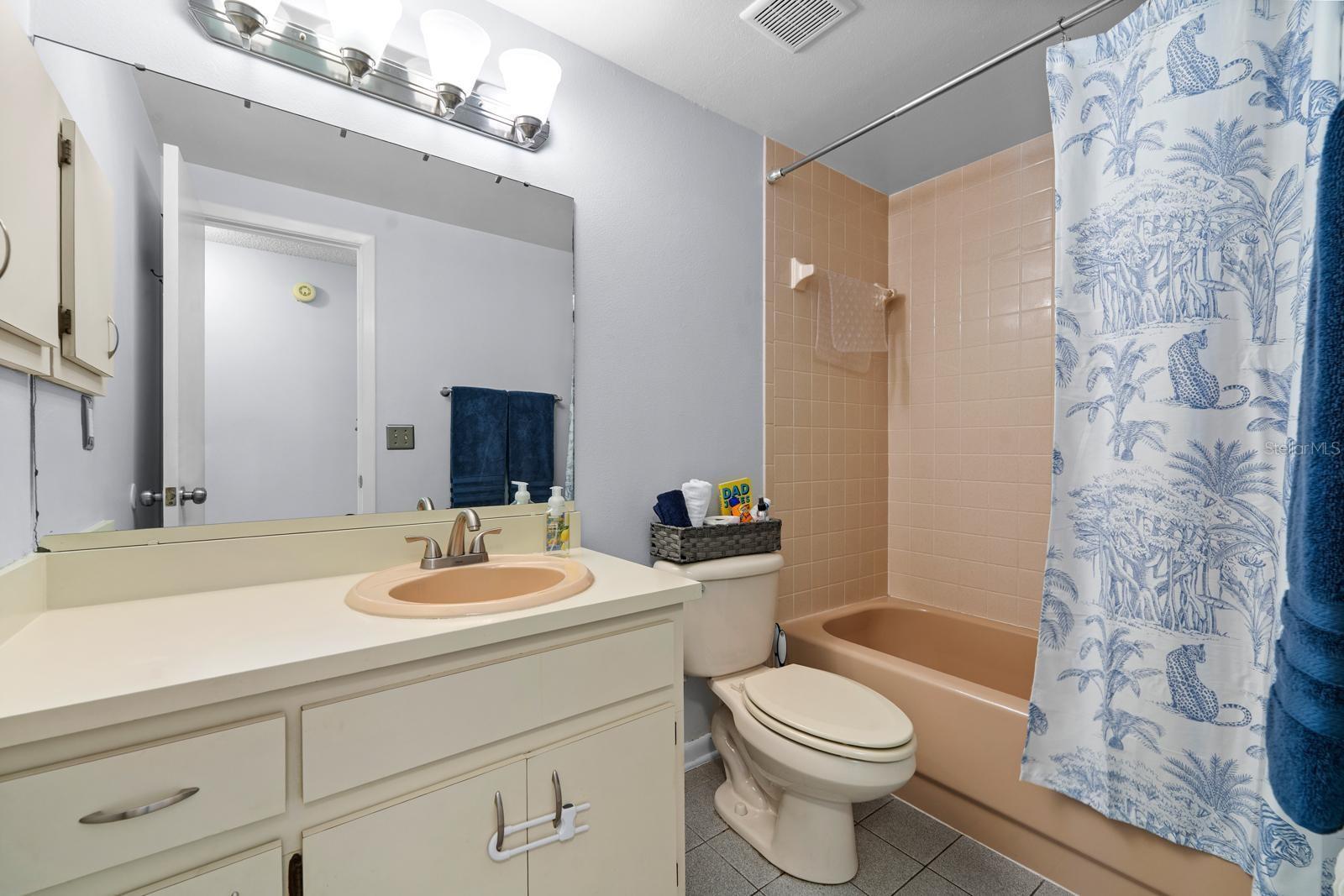 Lower Level Bathroom
