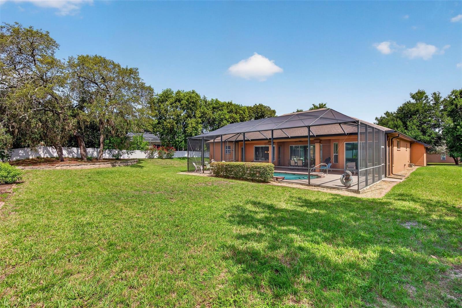 Spacious Backyard