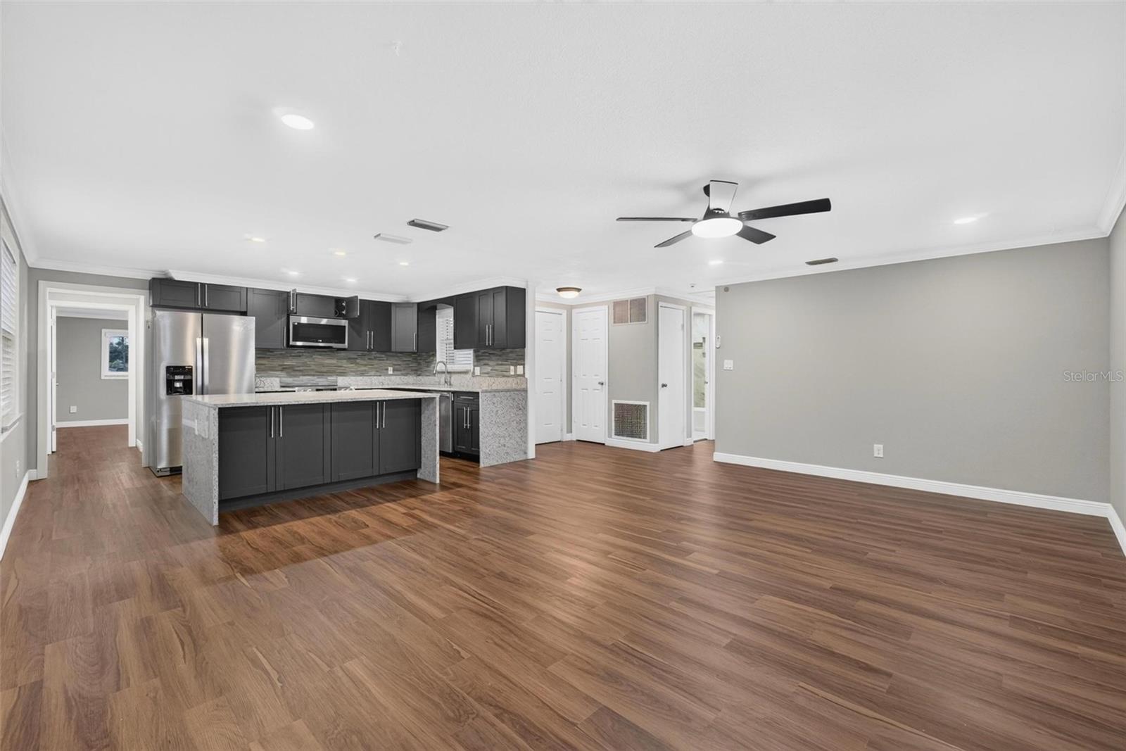 Living room / Kitchen