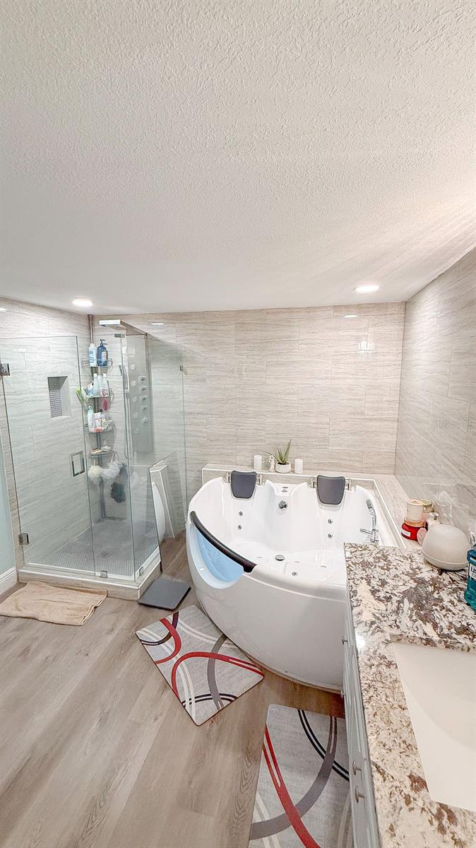 master bath spa tub