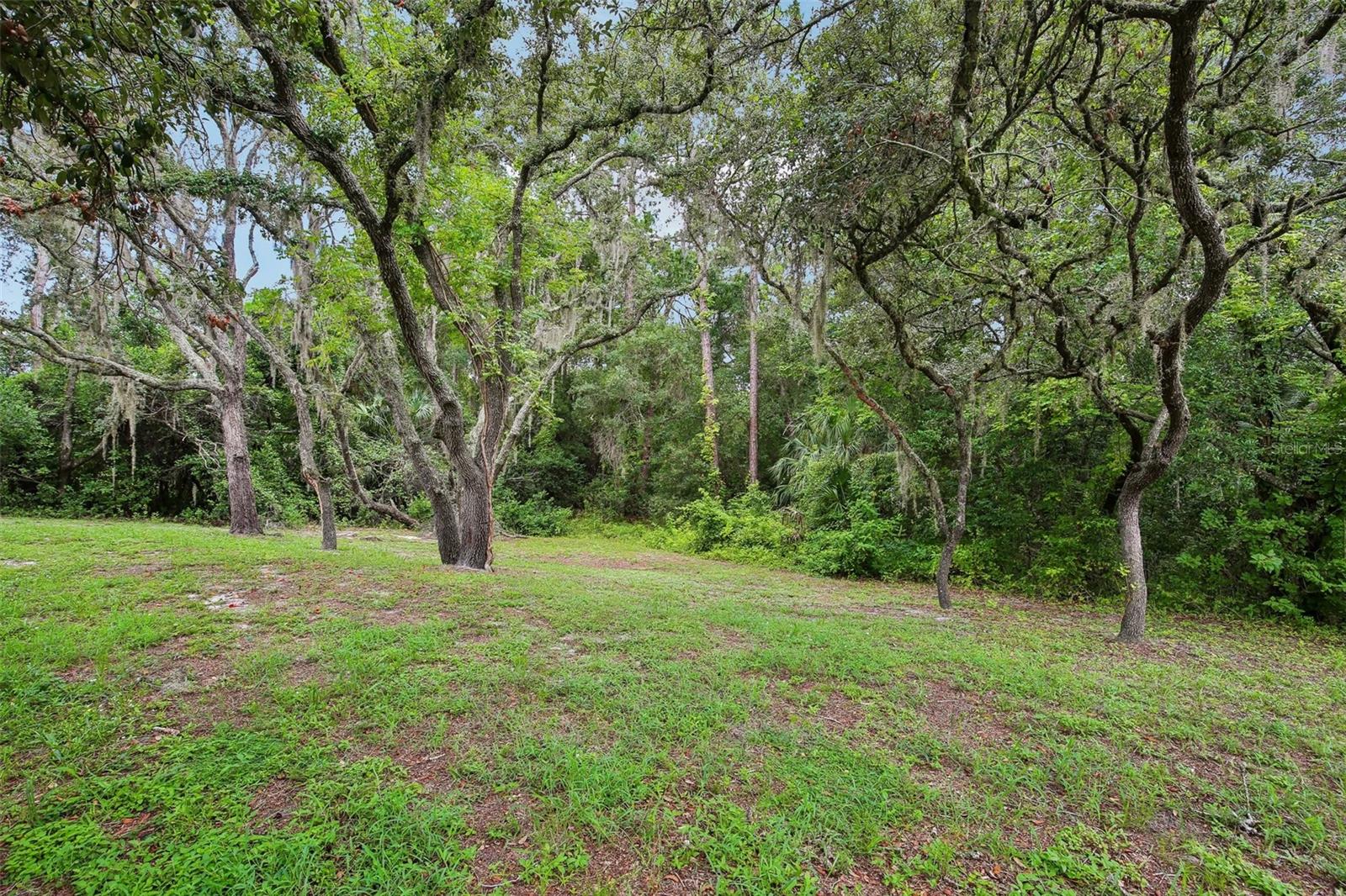 Back yard- grass is virtually shaded